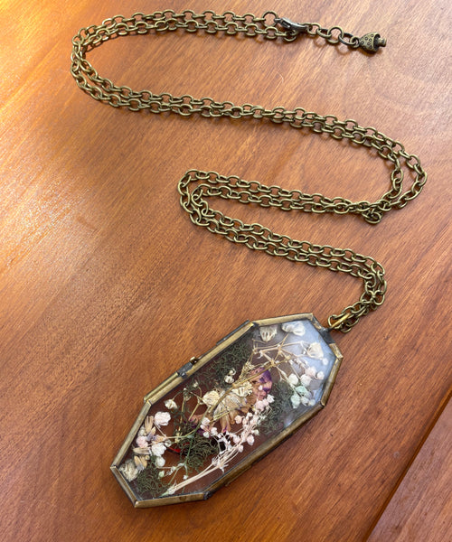 Preserved Life Recycled Lizard Coffin Window Necklace