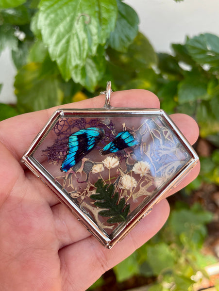 Butterfly Wing Window Necklace (in Silver)